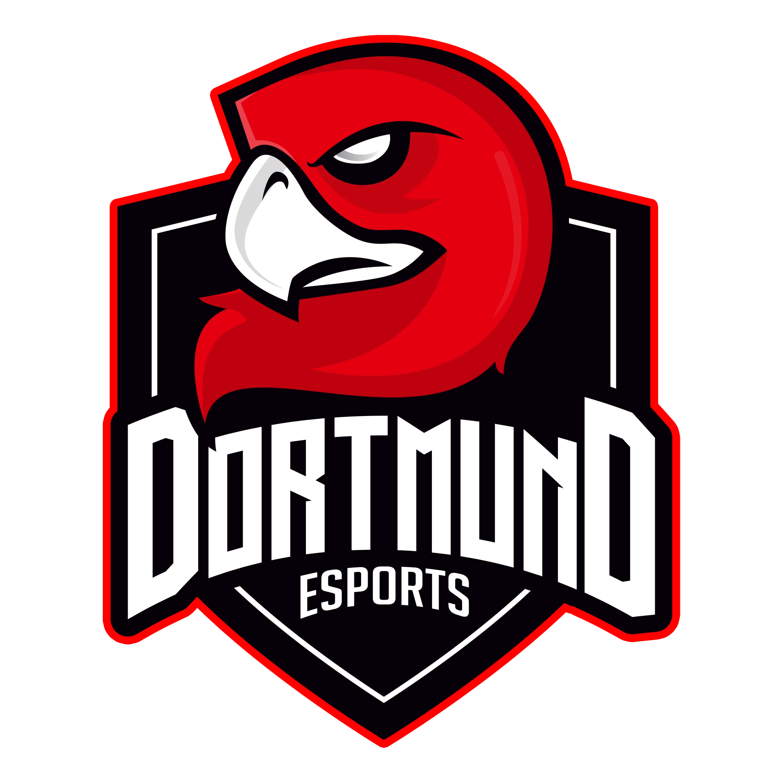 Dortmund eSports e. V.