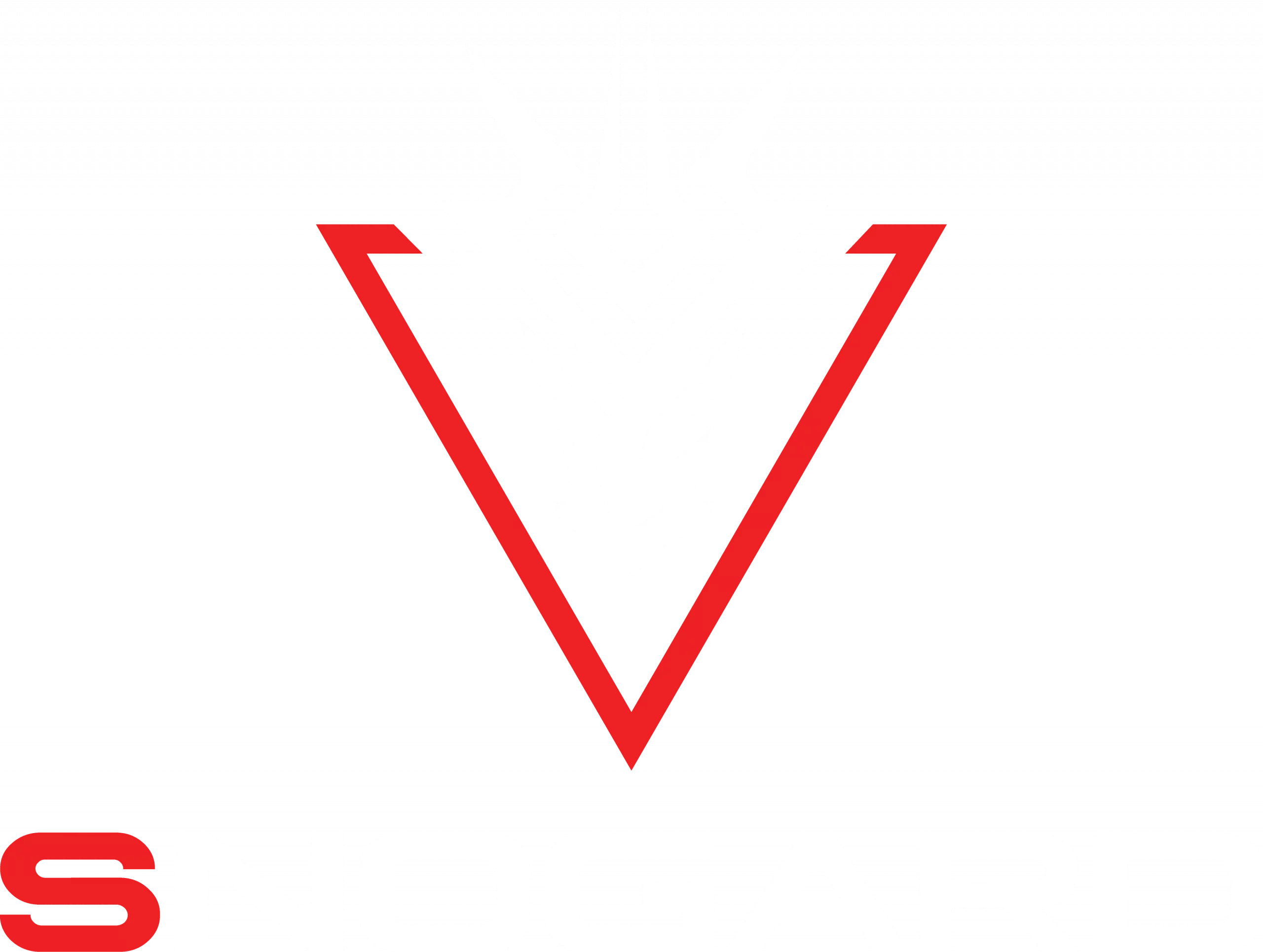 SNOGARD Dragons