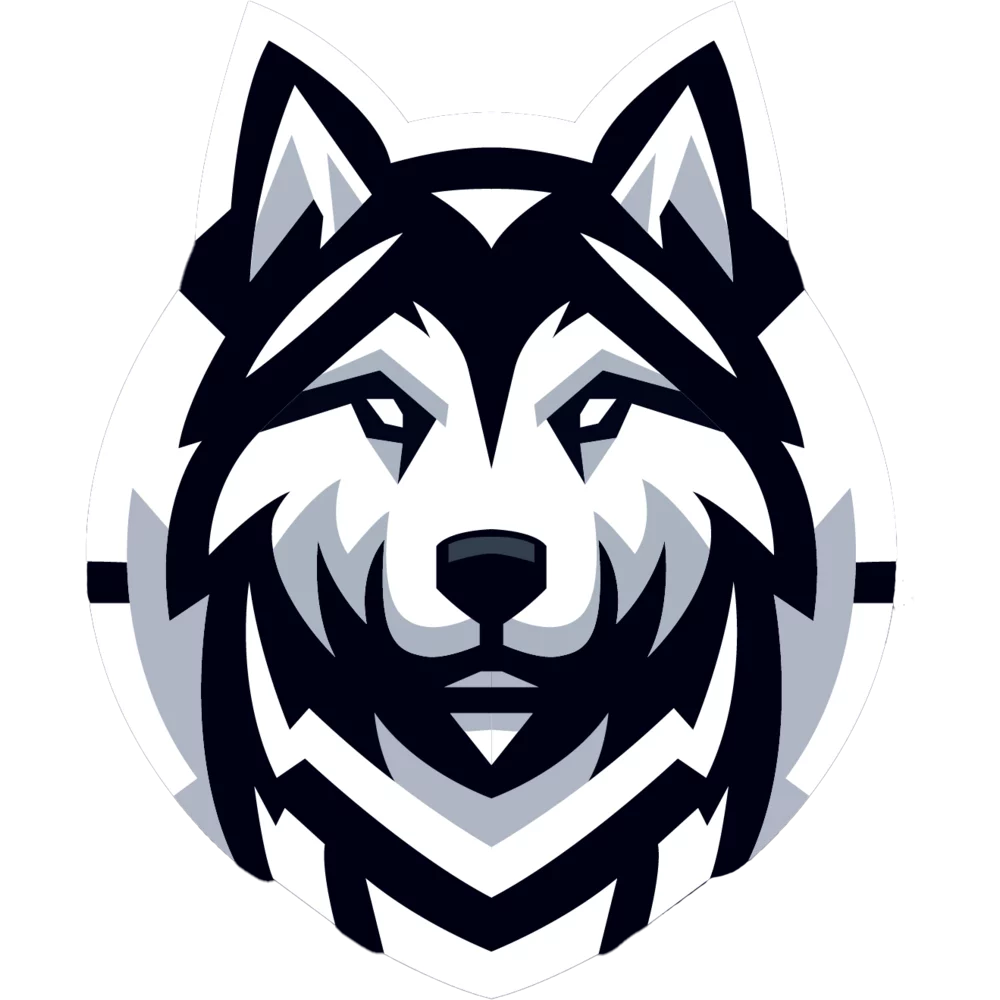 HUSK.GG Academy OLD