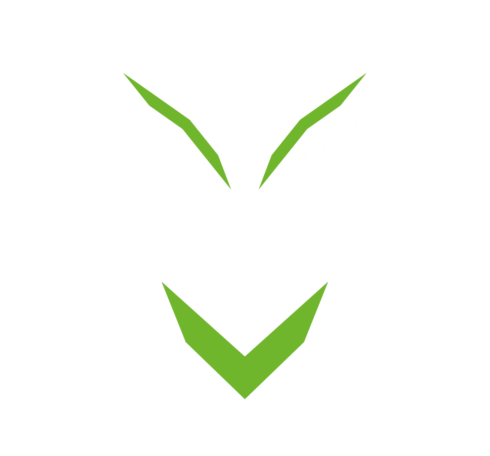 V3NTOM eSports