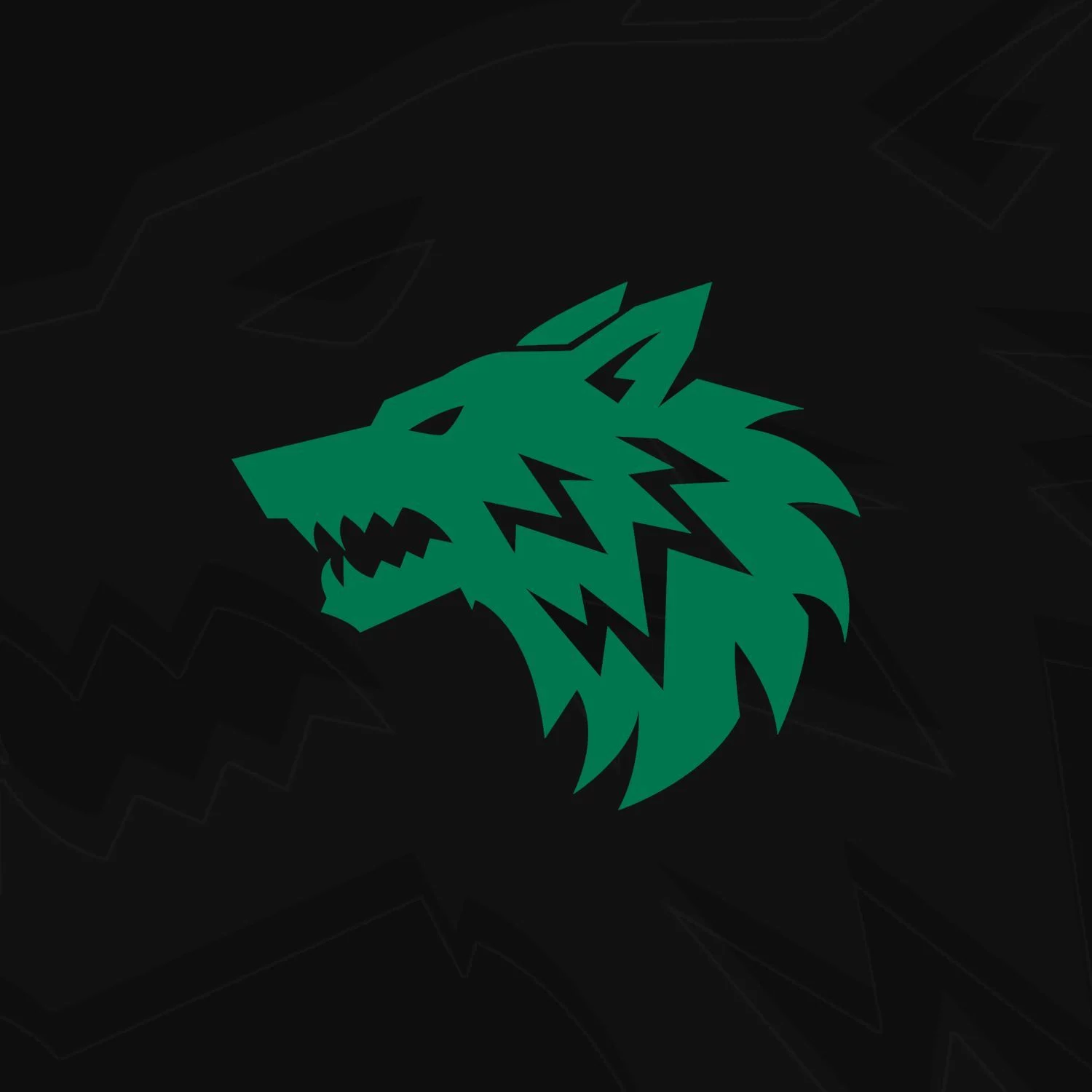 FANG ESPORT