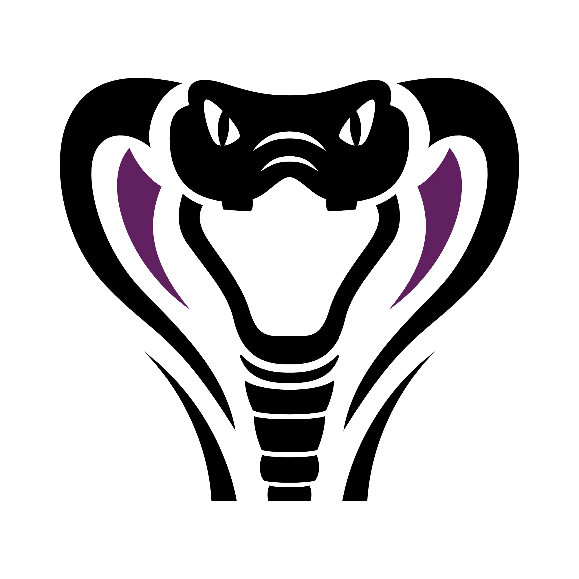 StrynXTeam