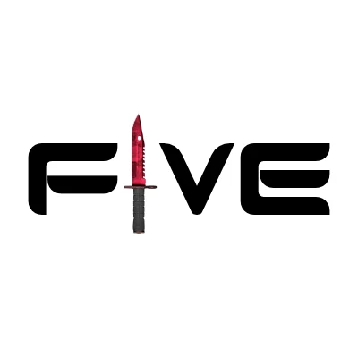 F1VETeam