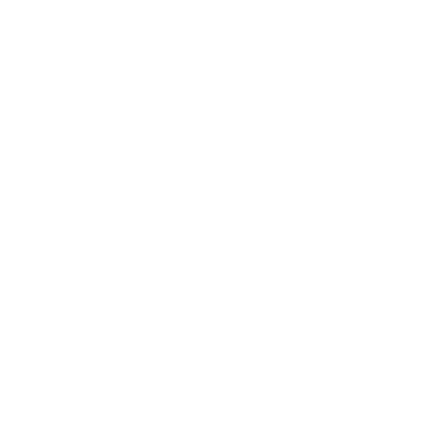 Team LEISURE