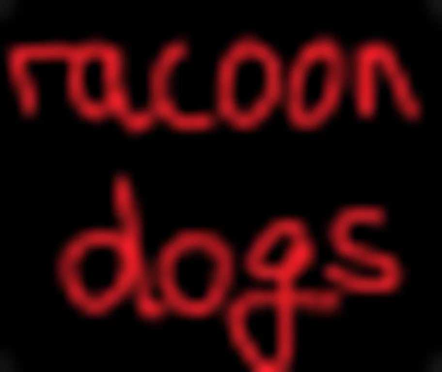 racoondogs