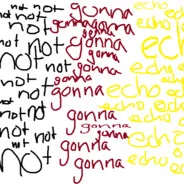 not gonna echo
