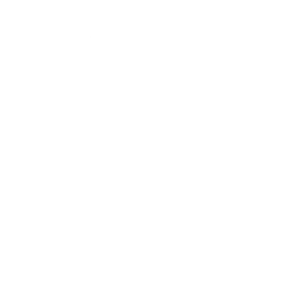BIG Academy