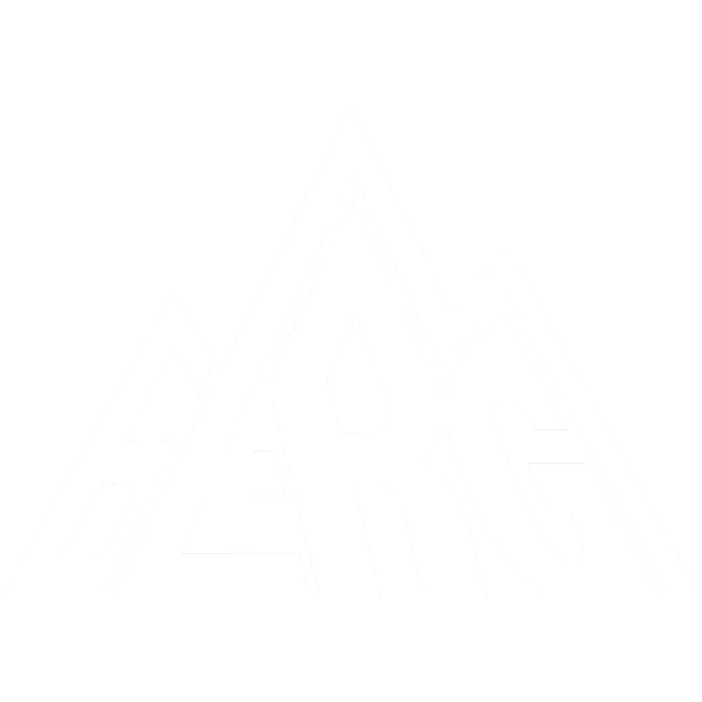 Esport BERG