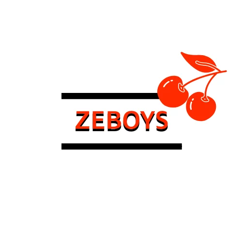 zeBoys