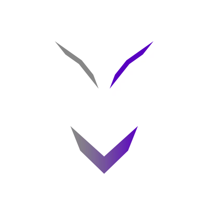 V3NTOM PhantoM