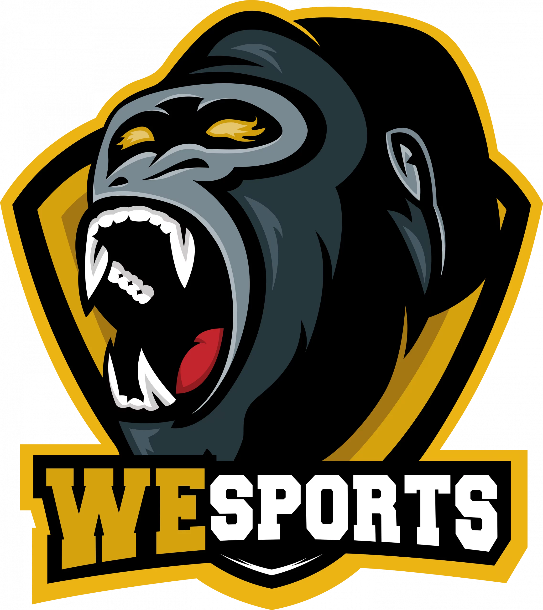 WeSports