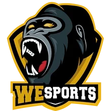 WeSports Academy