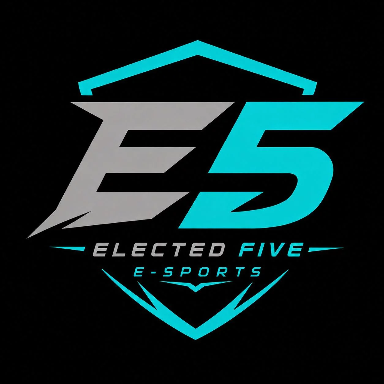 E5 - ELECTED FIVE