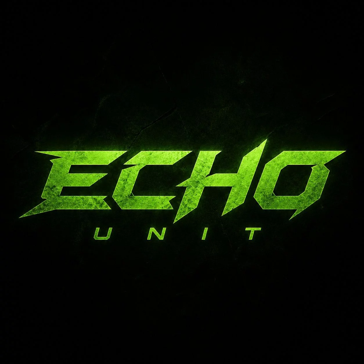 Echo Unit