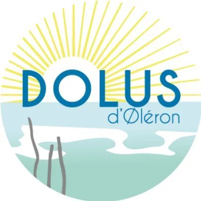 Dolus Gaming