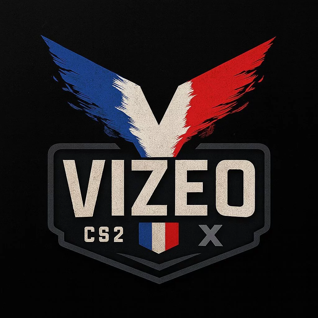 VIZEO X