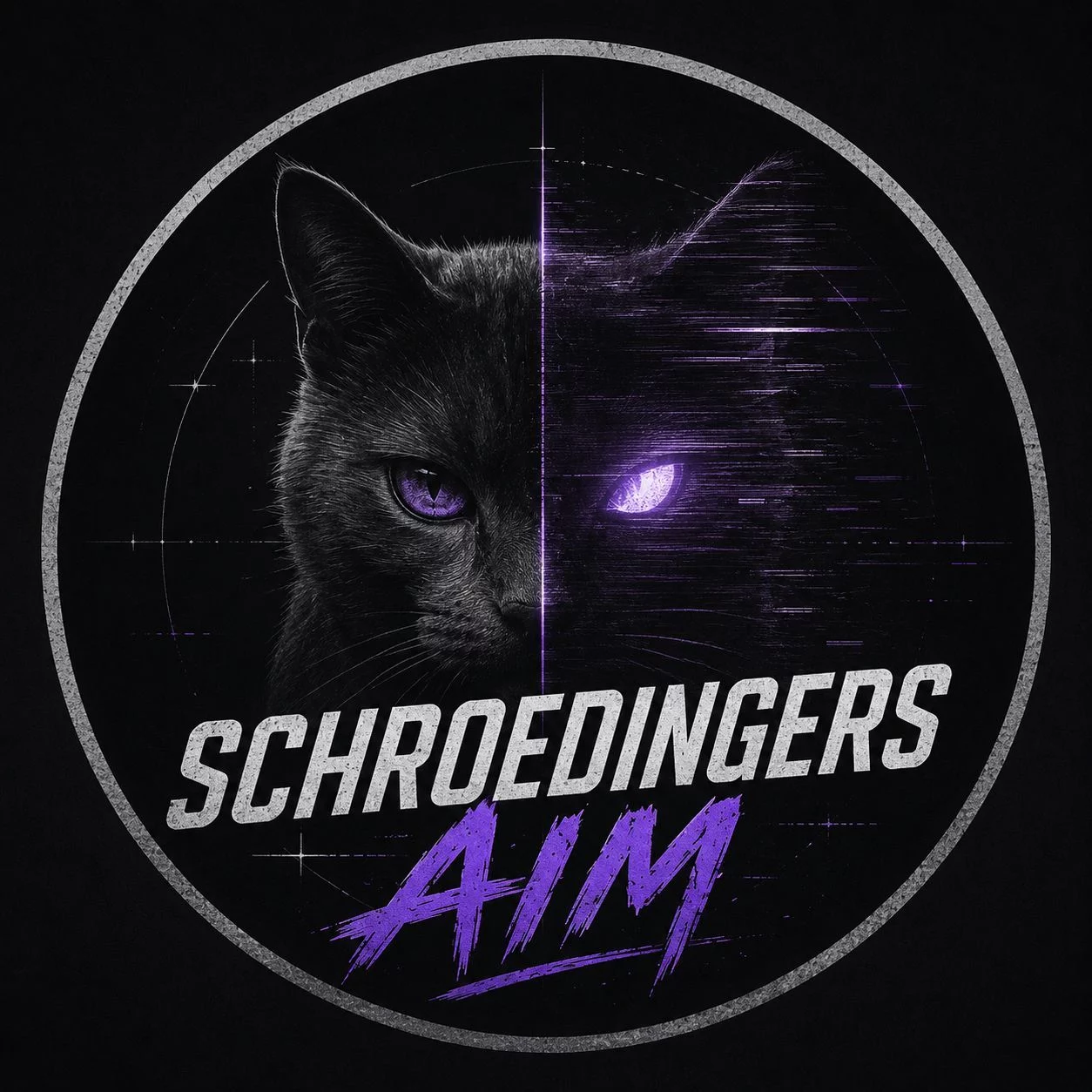 SCHROEDINGERS Aim