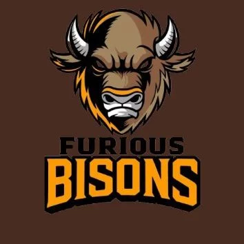 FURIOUS BISONS