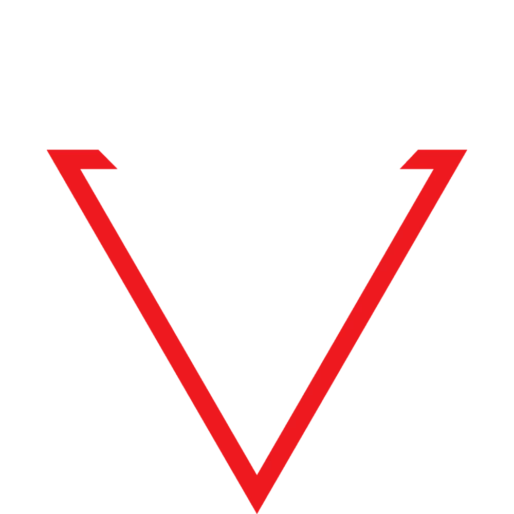 SNOGARD Dragons
