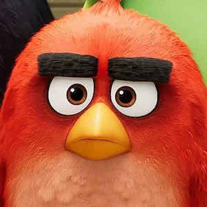 ANGRY BIRDS