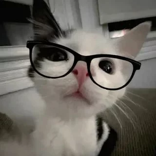 TALENT