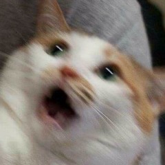 1fallsbimsl