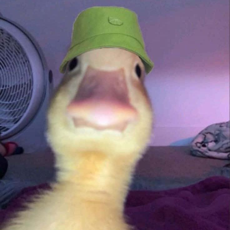 SamMycs7