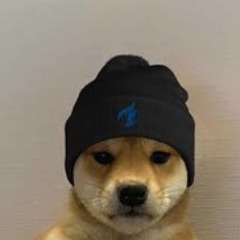 Fajr_nesdogy