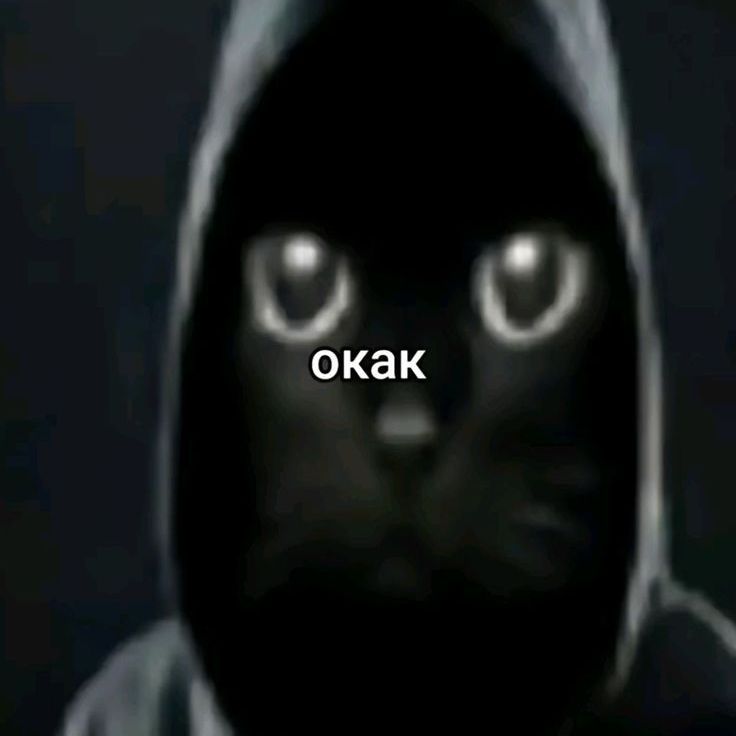 alekxs167