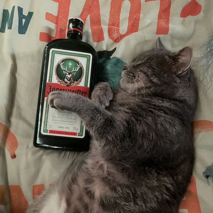 malizu