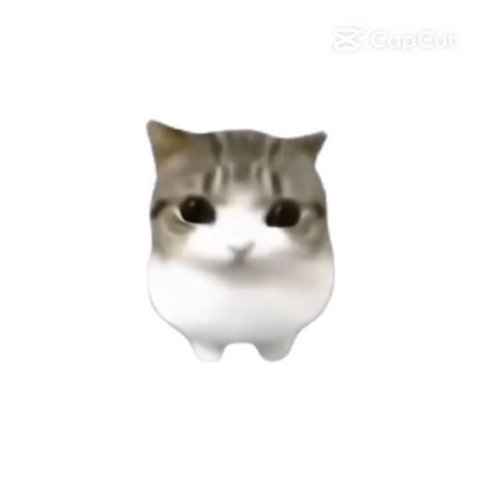 sfiiifiiinx