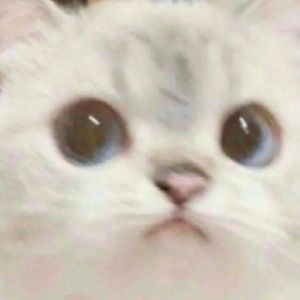 NMK-