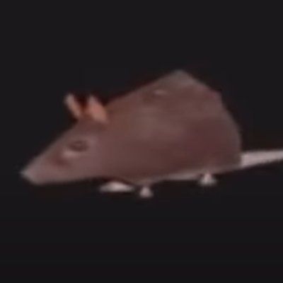 benog