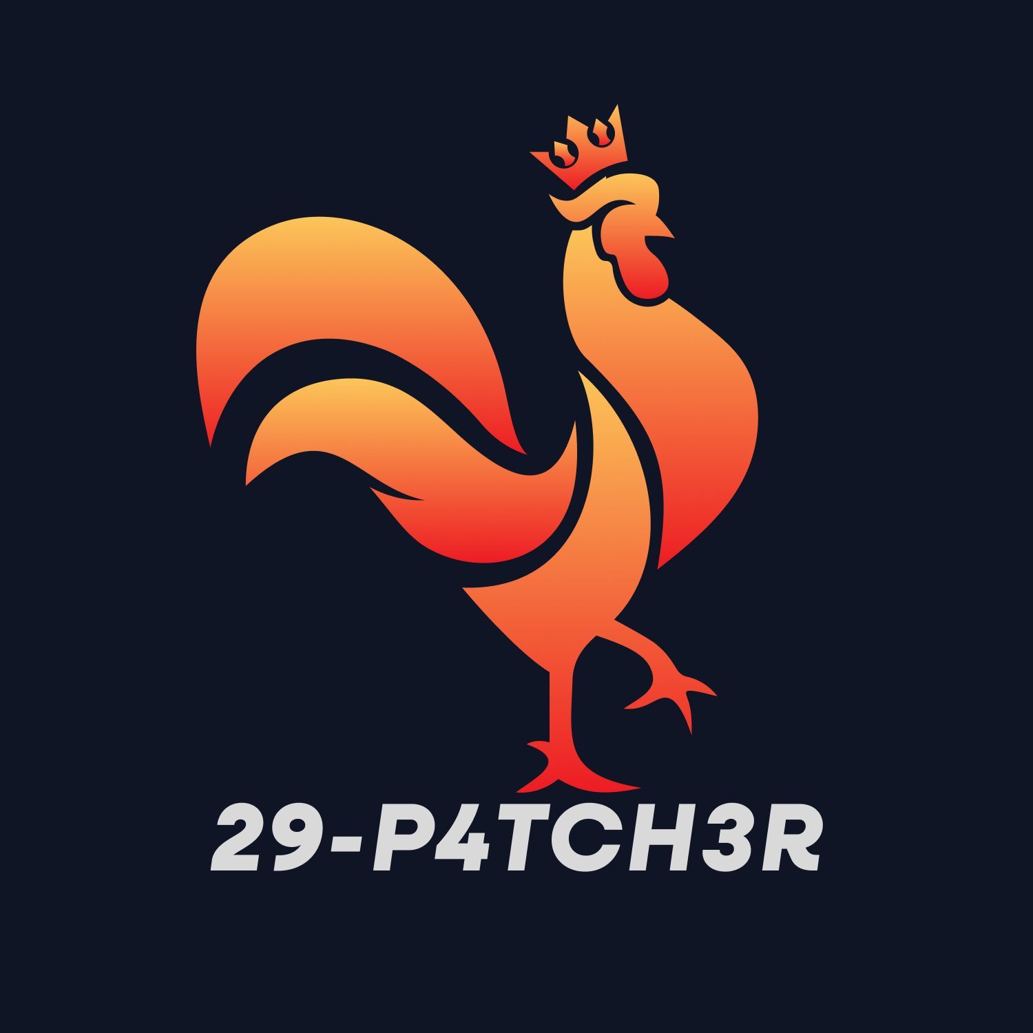 29-P4TCH3R