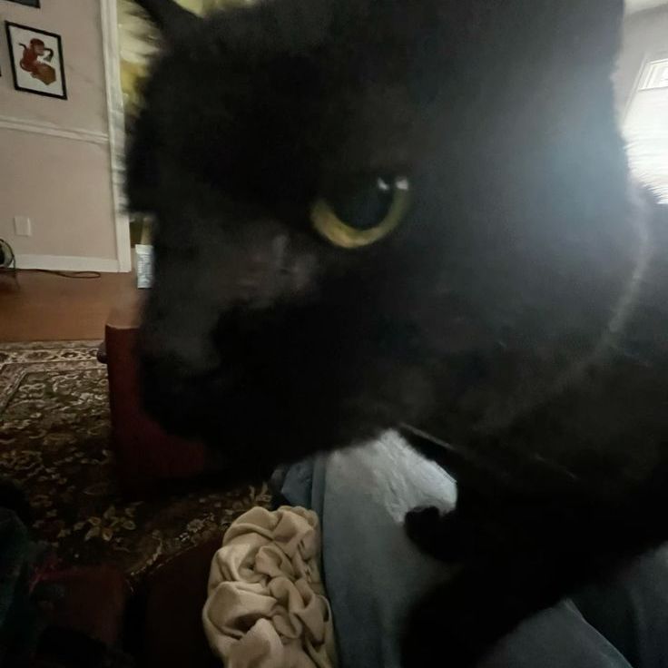 menhiru