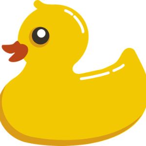 rub-a-duck
