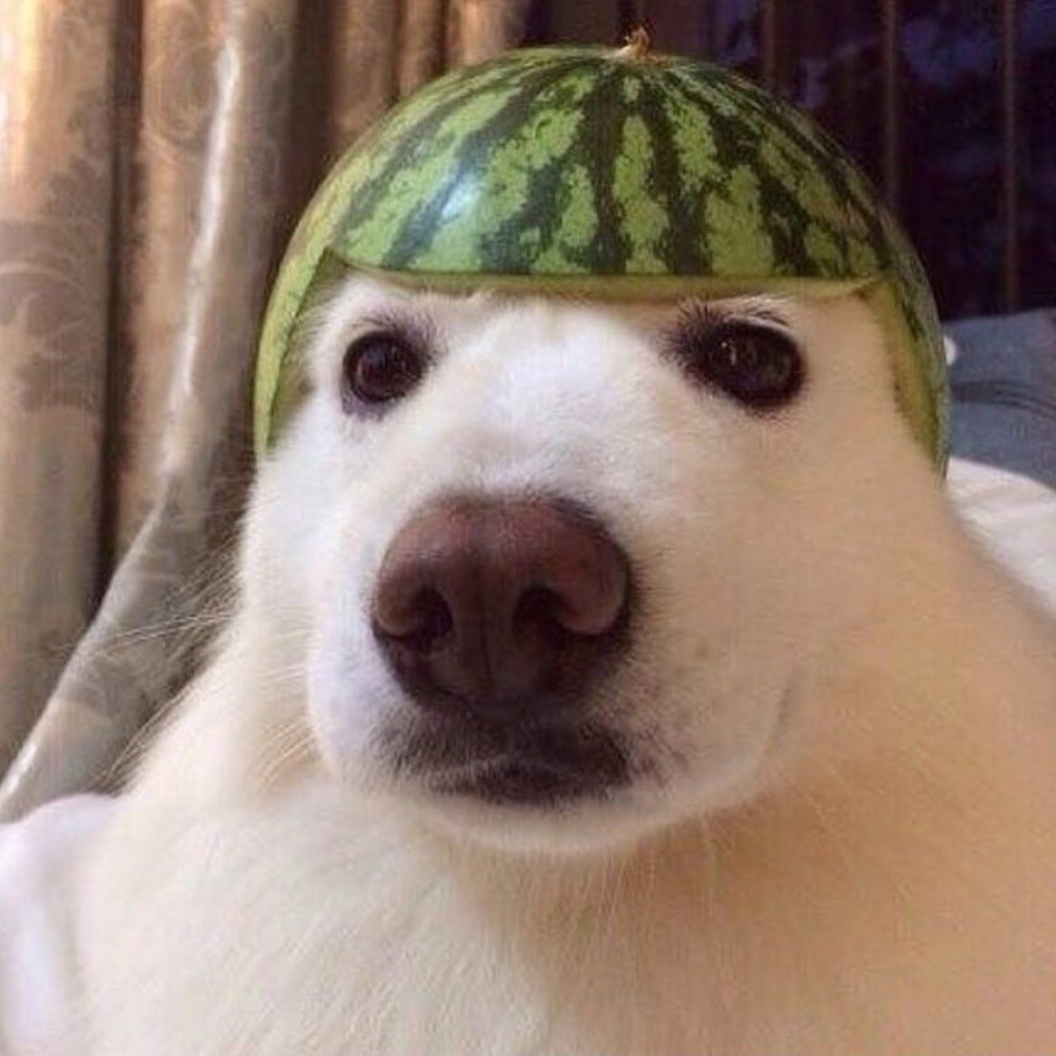 cr1stalg0d
