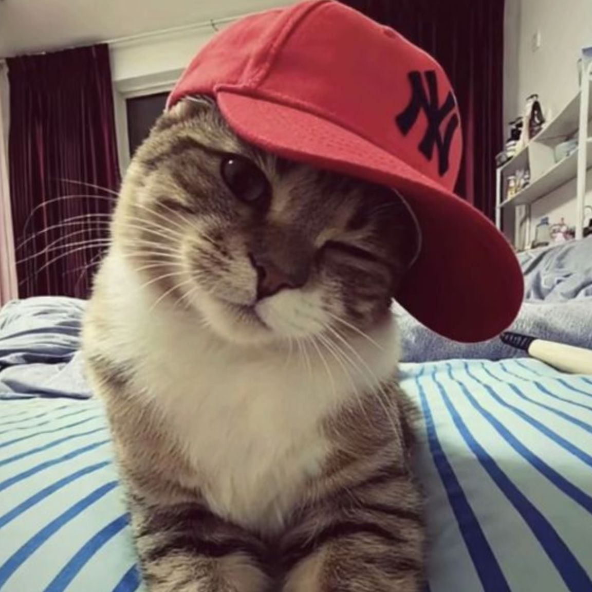 endziu666