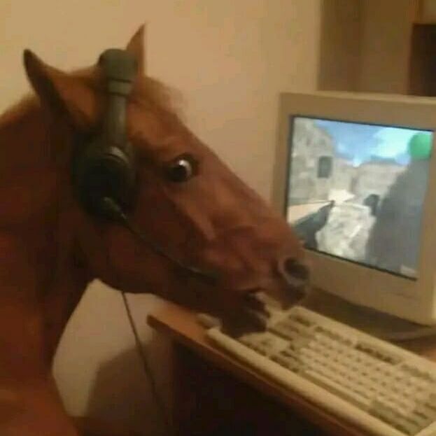 BooJ_