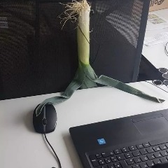 Garnix