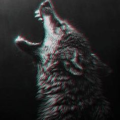 _T1m
