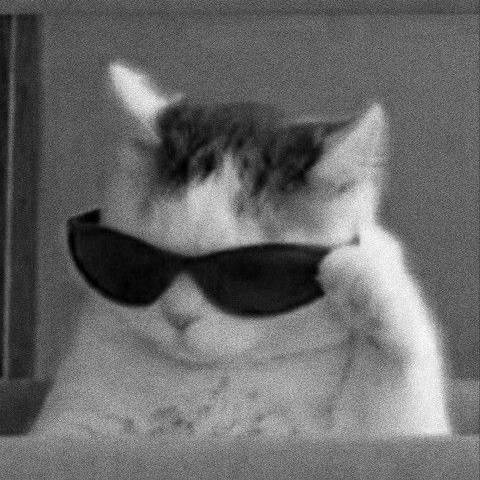 zikest