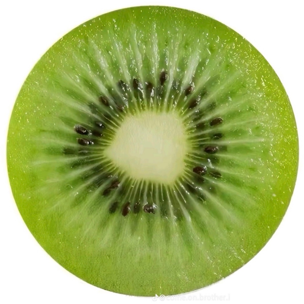 bibin0s
