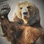 IamYogiBear