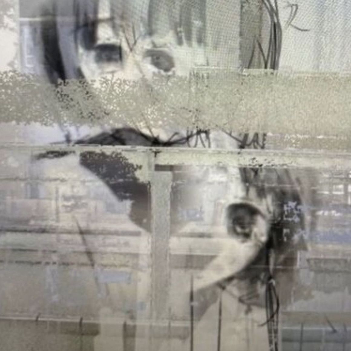 228