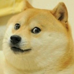 --t0mmy--