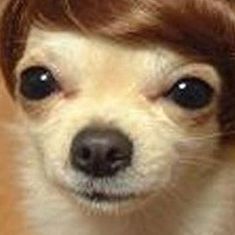 MurphyCS