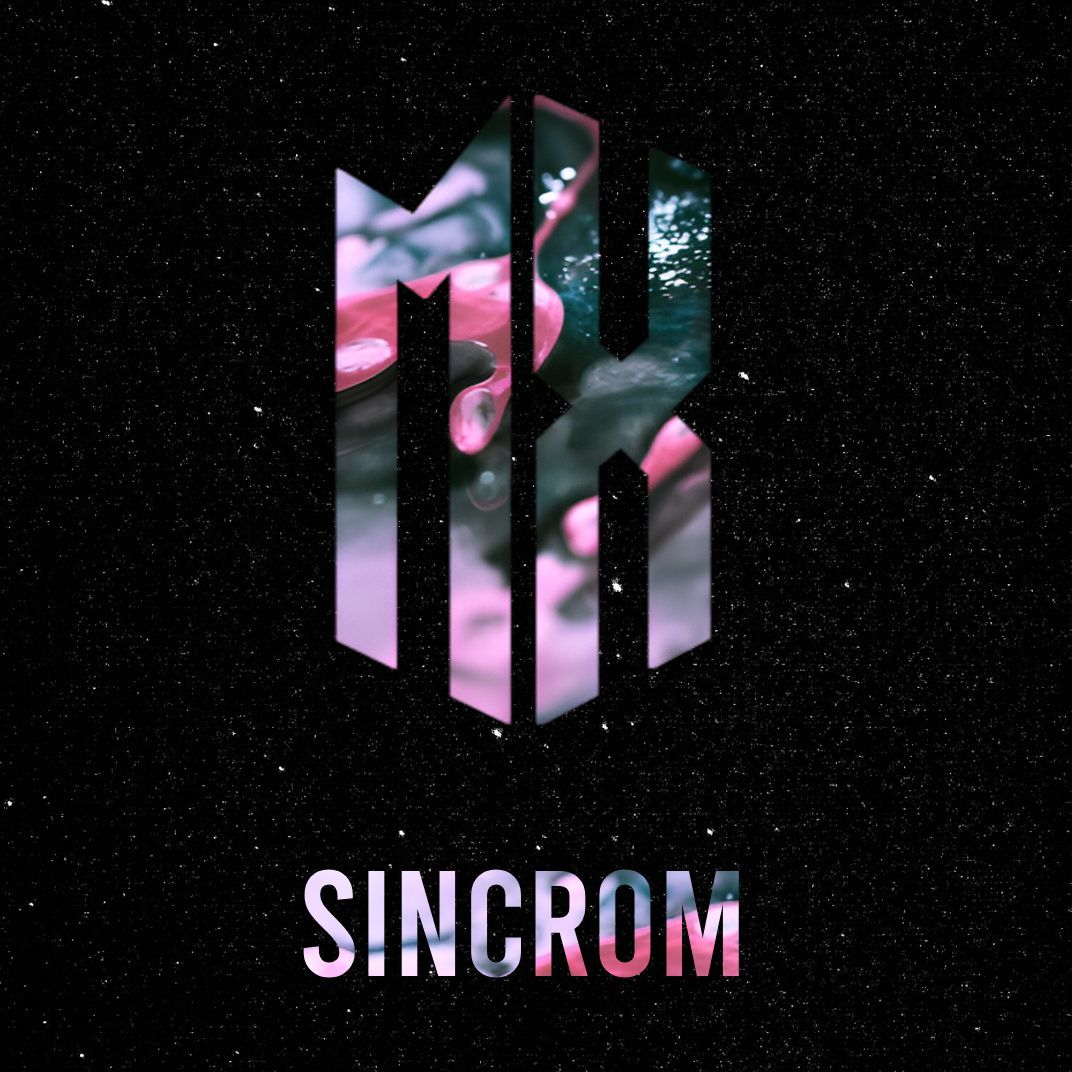 SiiNcRoM