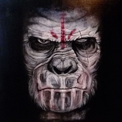 Koba64