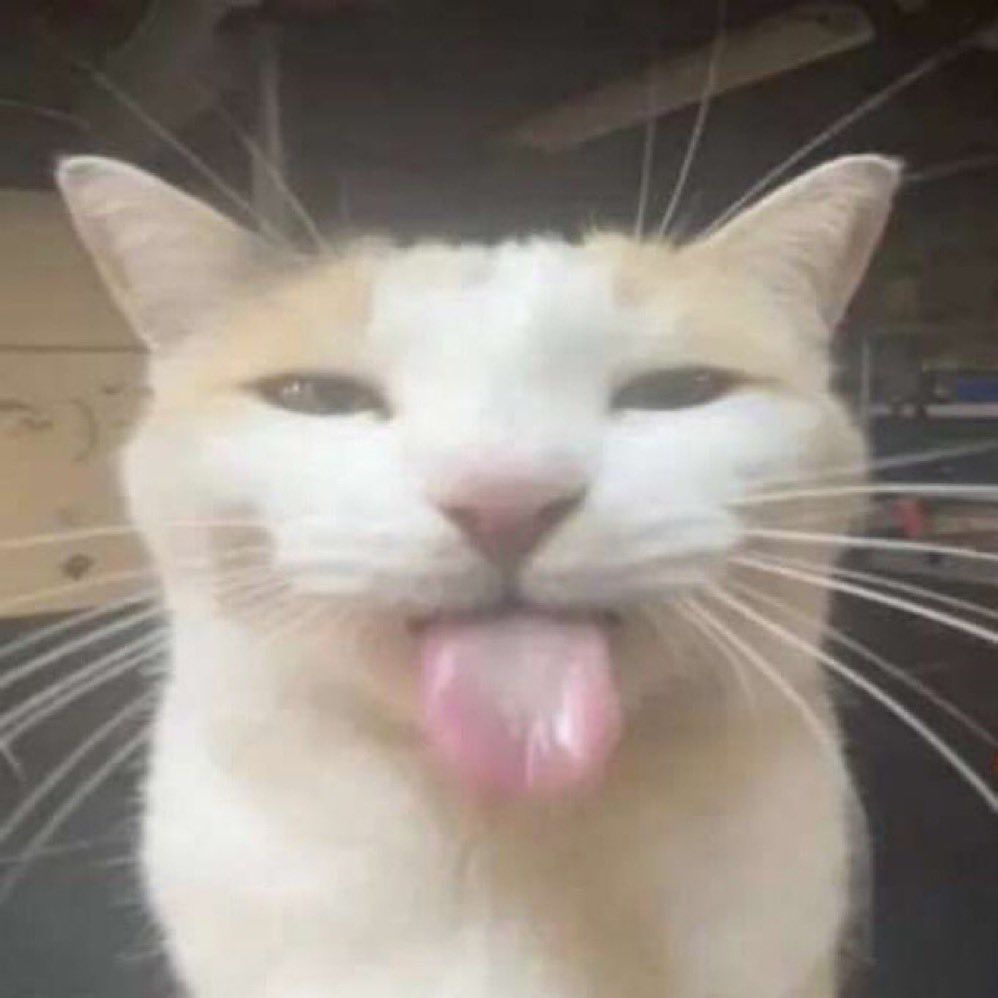 St49